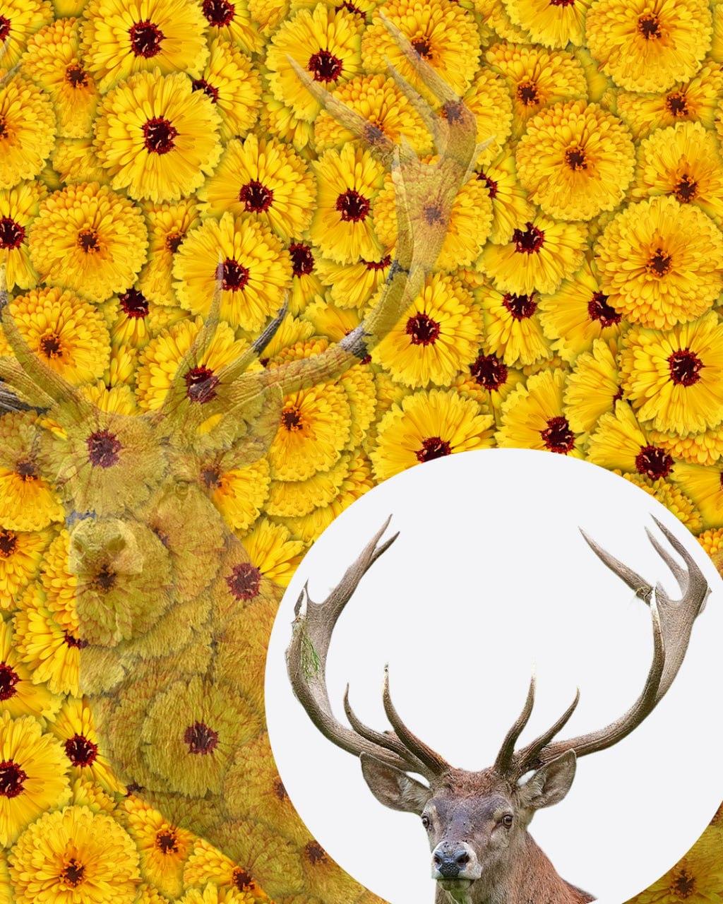 Slechts 1 op de 10 mensen zal het hert in de afbeelding binnen 7 seconden vinden: een zeer complexe optische illusie