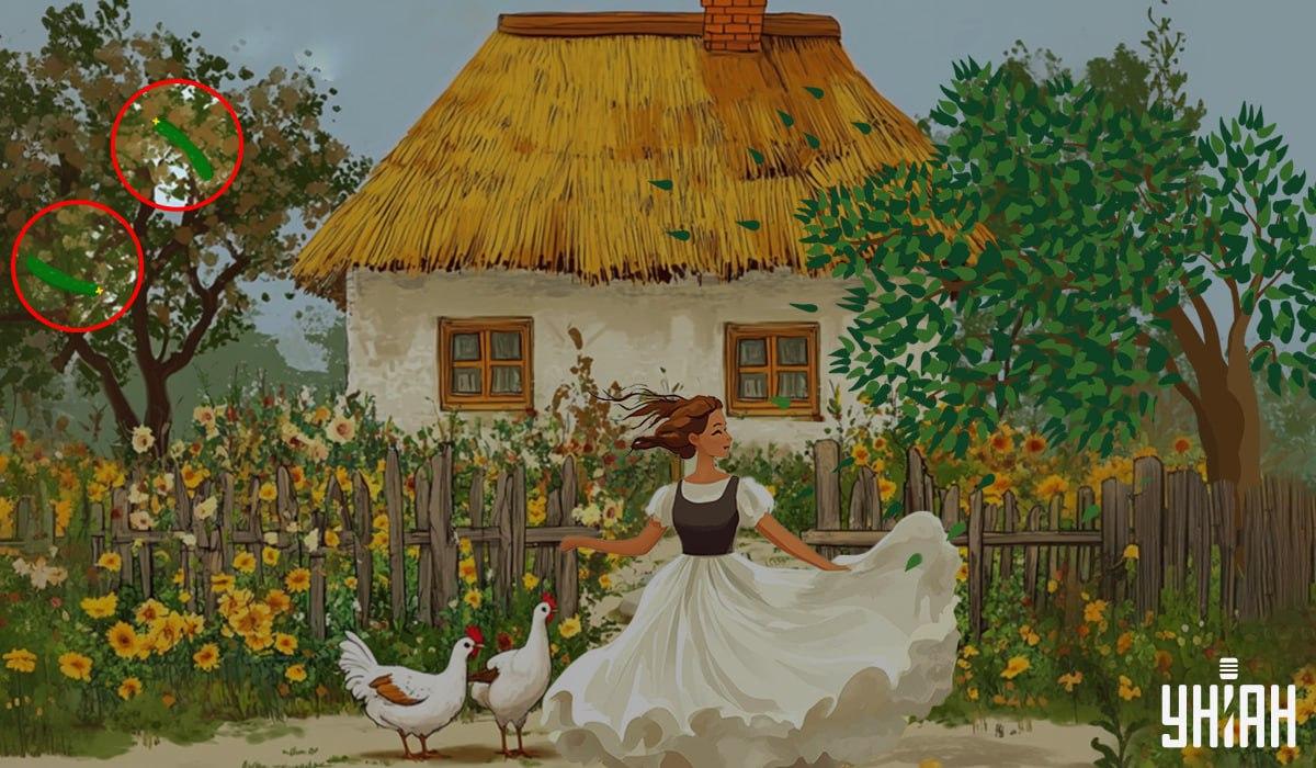 antwoord / Moje foto