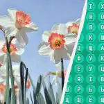 98% van de mensen kan het woord 'lente' niet binnen