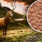 Alleen mensen met een hoog IQ kunnen dit aan: je