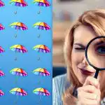 Een eenvoudige IQ-test: je moet een vreemde paraplu vinden in