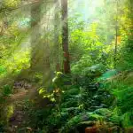 Een puzzel voor mensen met een uitstekend gezichtsvermogen: je moet