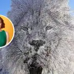 "Gesloten" of "sociaal" persoon: wat optische illusie over jou kan