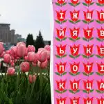 Kun jij het woord "tulp" vinden in 11 seconden: een