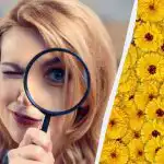 Slechts 1 op de 10 mensen vindt binnen 7 seconden