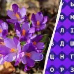 Slechts 1% van de mensen kan het woord "krokus" vinden