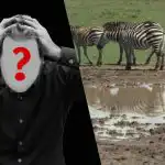 Snelle IQ-test: vind een hond in een veld in 6