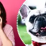 Super geavanceerde optische illusie: alleen een echte detective kan een