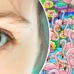 Vind het meisje tussen de flamingo's in 8 seconden: deze
