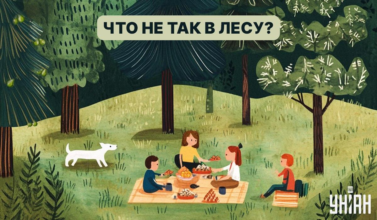 Vind een insect in het bos in 5 seconden: een snelle test om je IQ te controleren