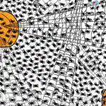 Virale puzzel voor wie ziet als een adelaar: je moet