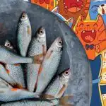 Vis zoeken tussen katten: een leuke puzzel voor mensen met