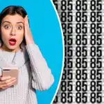 Waar 86 en 35 verstopt zijn: alleen de meest oplettende zal de nummers vinden in 6 seconden Waar 86 en 35 verstopt zijn: alleen de meest oplettende