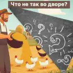 Zoek in 5 seconden een grote fout op een boerenerf: